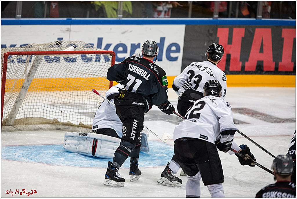 DEL, Koelner Haie - Nuernberg Ice Tiger, 24.01.2017